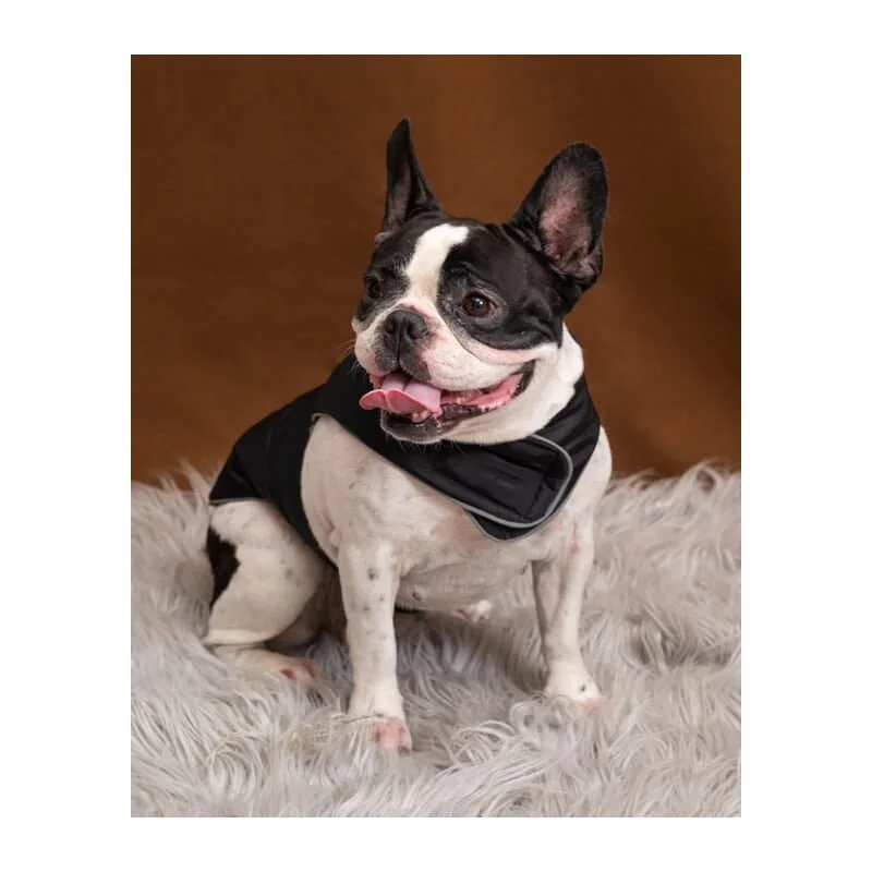 Petsnugs Black Jacket for Dogs